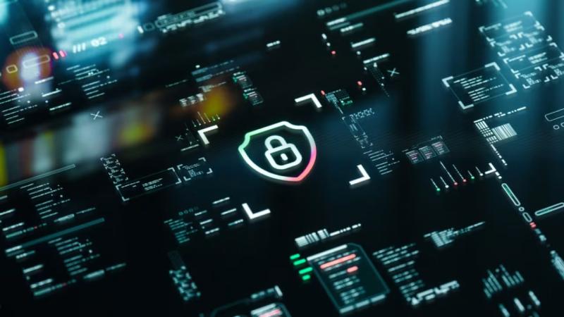八步区软件开发公司